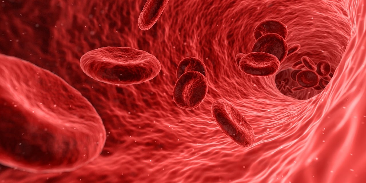 Immune System and Inflammatory Testing Tools in Hope Pathology Ravet Place Lab