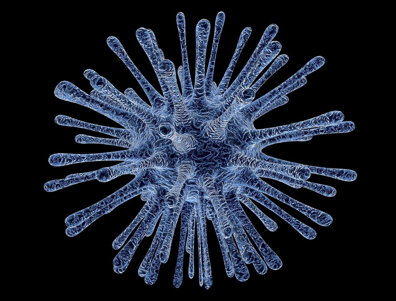 Infectious Disease Testing in Leading Pathology Laboratory